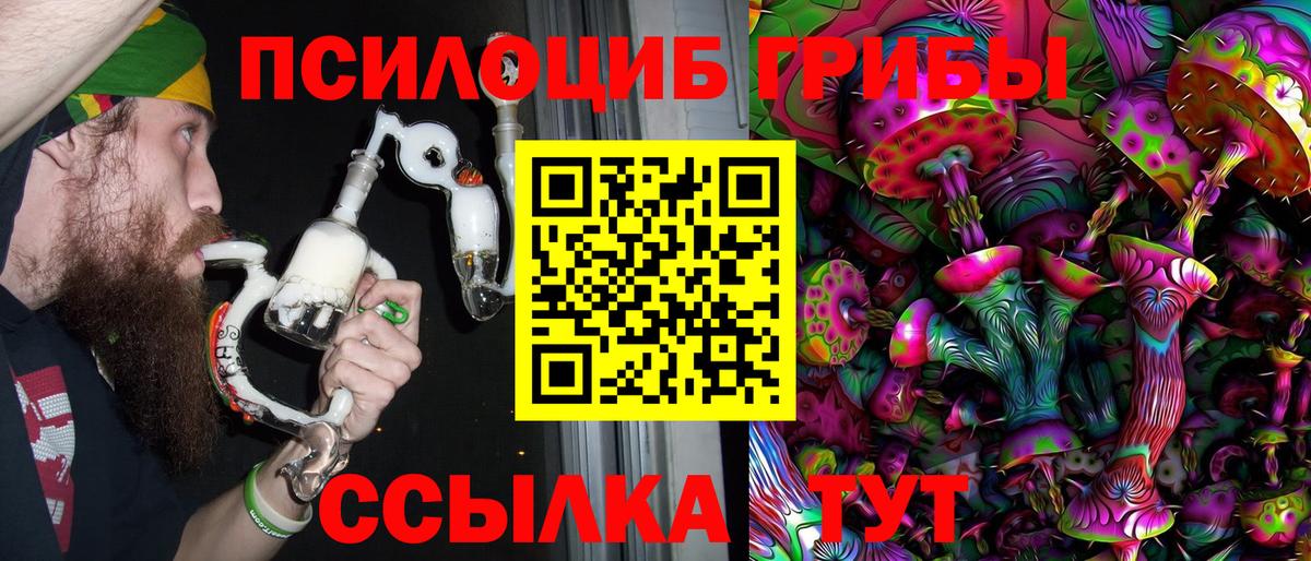 Когалым  Псилоцибиновые грибы Psilocybe  Вход с VPN  Галлюциногенные грибы Psilocybe 